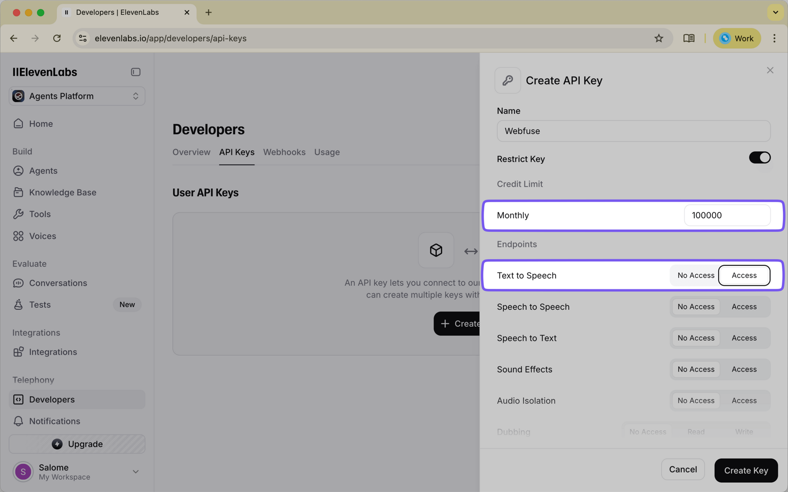 ElevenLabs API in 2025: The Ultimate Guide for Developers | Webfuse