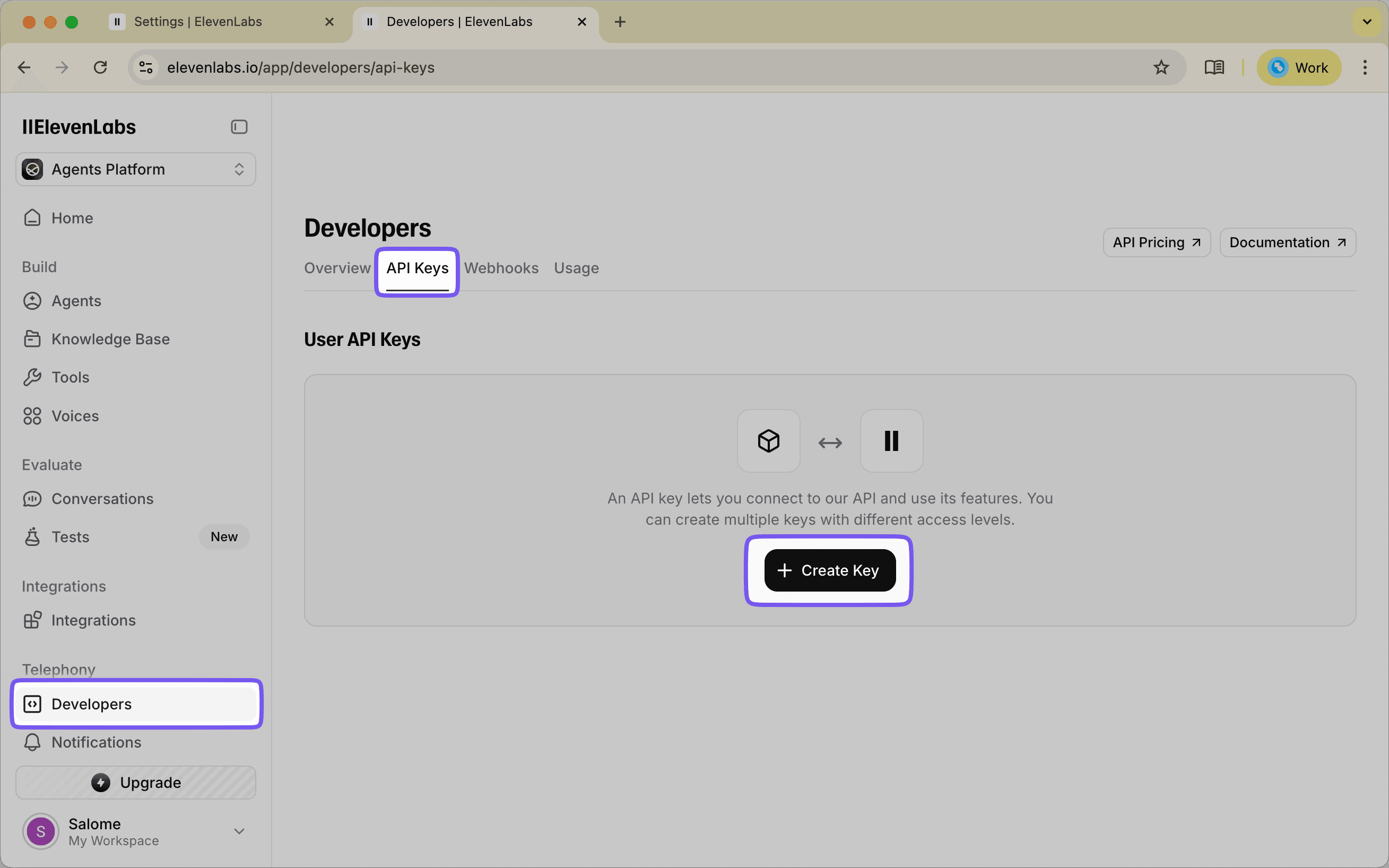 ElevenLabs Dashboard showing Developers sidebar and API Keys tab